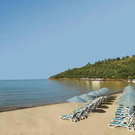 Semesteranläggning (resort) Paloma Pasha