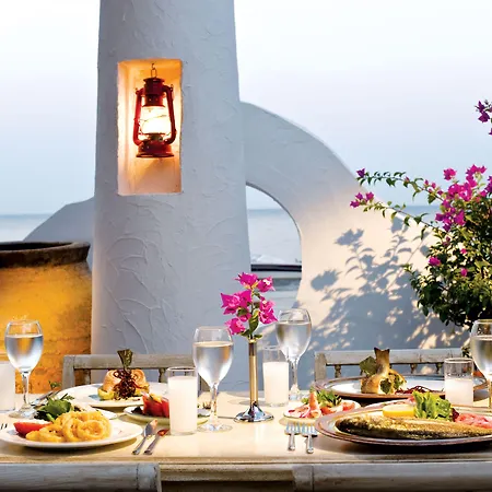 Paloma Pasha 5* Özdere